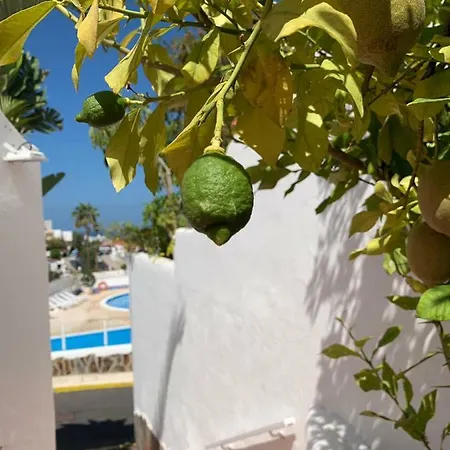 Appartement Dream House Costa Adeje (Tenerife)